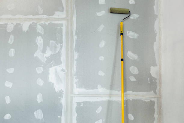 Best Mold Remediation for Healthcare Facilities  in Anchorage, KY