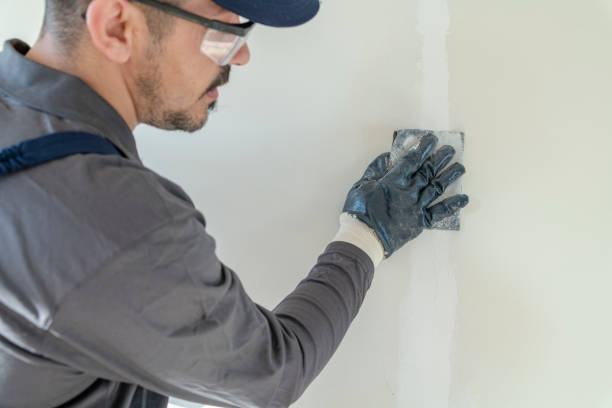 Mold Removal for HVAC Installations in Anchorage, KY