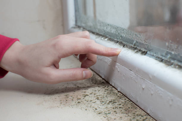 Best Indoor Air Quality Assessment  in Anchorage, KY