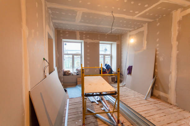 Best Basement Mold Removal  in Anchorage, KY